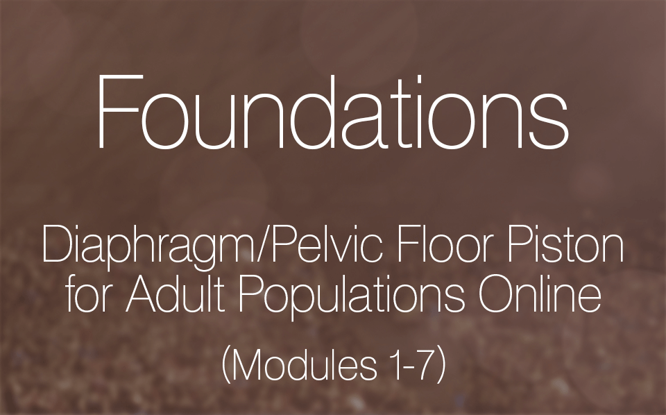Diaphragm/Pelvic Floor Piston for Adult Populations Online